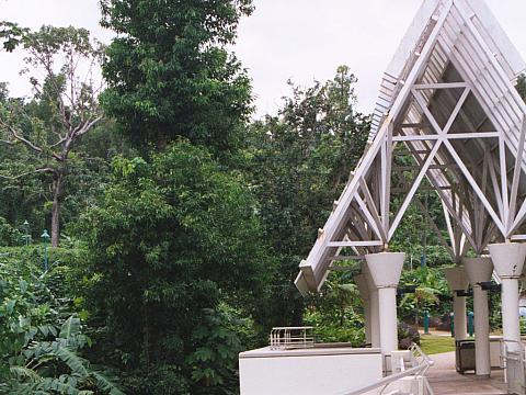 El Yunque rainforest research facility.